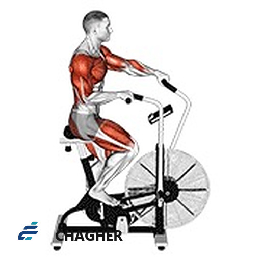 cycle ضربدری دستگاه با دستگاه اهرمی