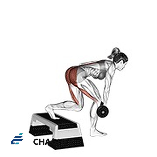 ددلیفت stepbox تکیه‌گاه تک‌پا با دمبل