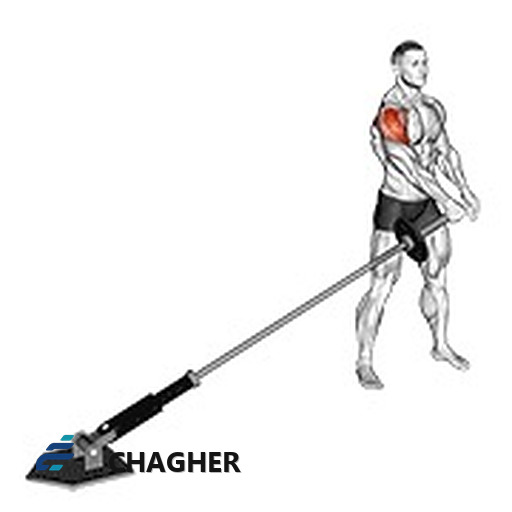 نشر از جانب لندماین با هالتر