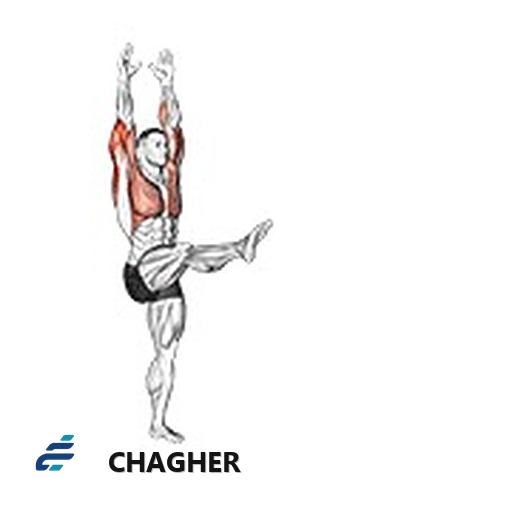 handstand با وزن بدن