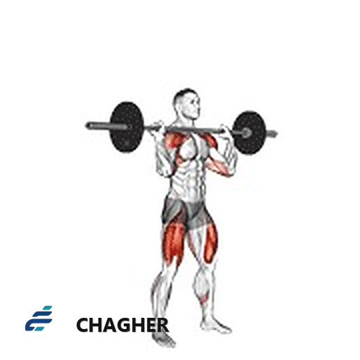 تراستر با هالتر
