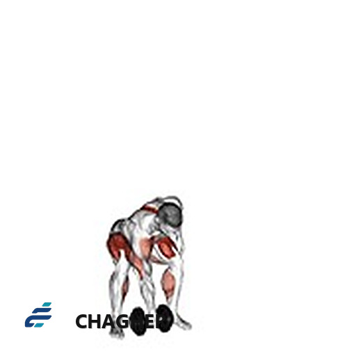 اسنچ تک‌دست با دمبل